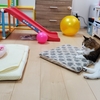 あんずがいっぱい216　行き倒れの人たち