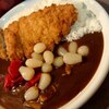 札幌市　カレー道楽　/　やはりカツカレーを選んでしまう