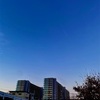 集約