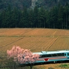 心に沁みない、ナゲーのフーケー　１９９５年春の樽見鉄道サクラ列車