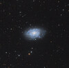 ChatGPTに教えてもらった銀河、NGC7793