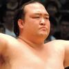 おじいちゃんと稀勢の里