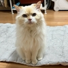 今週はいろいろ大変だったみたいね