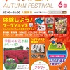 オータムフェス❗️