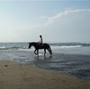 バリ島　初バリ島乗馬