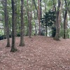 木部山2,3,4号墳   美里町木部