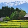 クイズラリーで花巡り・・・みちのく湖畔公園