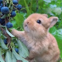 ☆今ここにある輝きのために☆