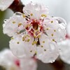 雨の休日