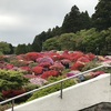 訃報