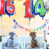 KAPIたん14歳 & DIO16歳のBirthday Party