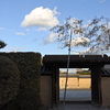 法隆寺　鬼追い