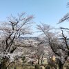 桜＆温泉_鹿沼