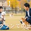 【北海道】独身犬好き必見！：北海道ドッグラン恋物語