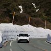 今年の雪の回廊は低いです｜蔵王エコーライン（宮城県・山形県）