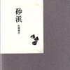 【レビュー】砂浜：佐藤雅彦