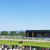 京都競馬