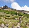 和宏さんの花巡礼　「花の白山」