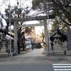 那古野神社（名古屋市）　平成27年2月10日　厄除けの公孫樹