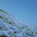 kiica’s blog
