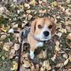 11月最後の週末