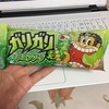 仕事をしたくない蒸し暑い日曜日の救世主＝ガリガリ君＝