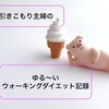 【27ヶ月目】引きこもり主婦のトリマウォーキング