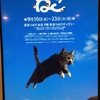 岩合光昭写真展　ねこ