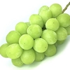 シャインマスカット🍇食べましたかあ？🤗（果物栄養シリーズ①）