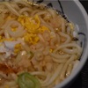 天ぷらうどん