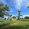 六ツ矢崎浜オートキャンプ場は車を横付けできる湖岸緑地公園でした。