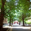 『東大赤門』