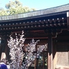 氷川神社に行ってきました。