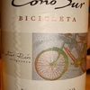 Cono Sur Pinot Grigio Varietal 2012