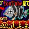 【ワンピース】尾田先生のハマっているものからとんでもない考察が誕生！