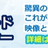 全部公開！スキャルピング成績　2013/3/15