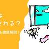 うさぎは蚊に刺される？リスクと対策を徹底解説！