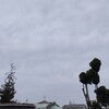 雨→曇り→晴れ☀　シャツブラウスの続き^^;