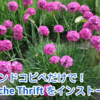 コマンドコピペだけで Apache Thrift をインストールする方法