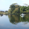 江津湖水辺のウォーキング♪