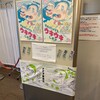 水曜日