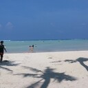 家族作りはじめました☆