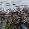 窓際に椅子と机を用意して