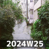 興味の連鎖 (2024W25)