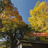 舞鶴・八幡神社