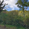 失くしても、諦めない事これ肝要