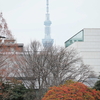 江戸深川散歩『木場公園～東京都現代美術館①』清澄白河