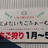 愛知県豊田市でいちご狩りをするなら、とよたいちごふぁーむ　へ行ってみよう