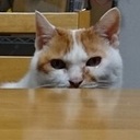 いつも限界に近い