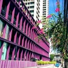 タイのトマト事情と調理法